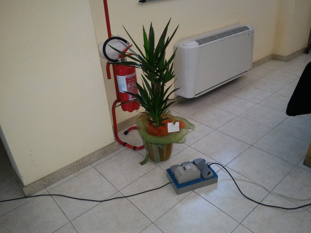 P_20160416_190815 .jpg